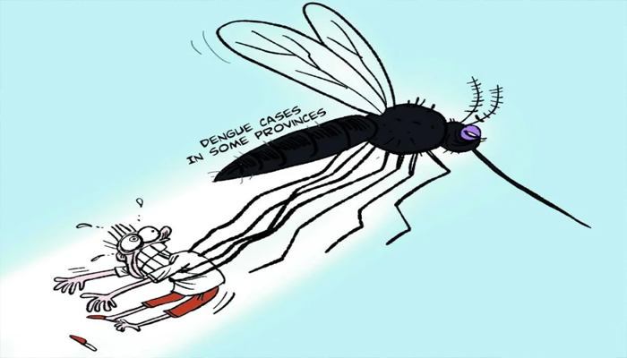 নারায়ণগঞ্জে ডেঙ্গু আক্রান্ত বেড়ে ৩২০ জন