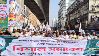 জনগণের মতামত নিতে দ্রুত গণভোটের ব্যবস্থা করতে হবে: মাওলানা জব্বার